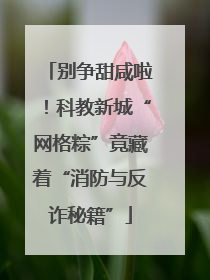 别争甜咸啦！科教新城“网格粽”竟藏着“消防与反诈秘籍”