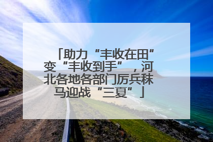 助力“丰收在田”变“丰收到手”，河北各地各部门厉兵秣马迎战“三夏”