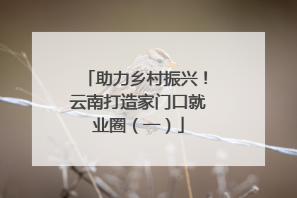 助力乡村振兴！云南打造家门口就业圈（一）