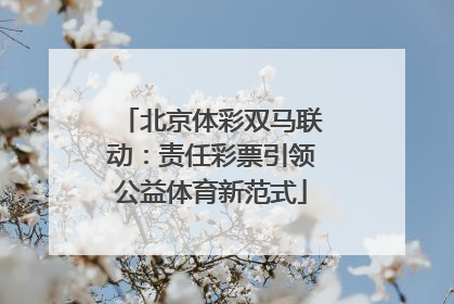 北京体彩双马联动：责任彩票引领公益体育新范式