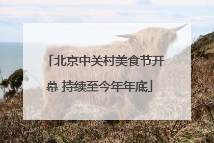 北京中关村美食节开幕 持续至今年年底