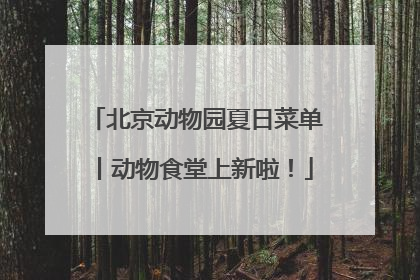 北京动物园夏日菜单丨动物食堂上新啦！