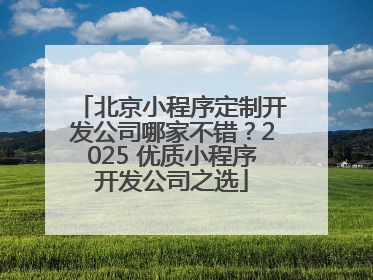 北京小程序定制开发公司哪家不错？2025 优质小程序开发公司之选