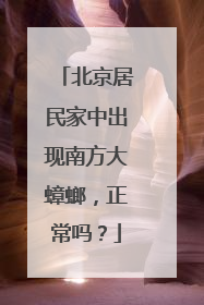 北京居民家中出现南方大蟑螂，正常吗？