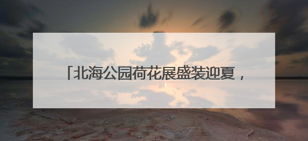 北海公园荷花展盛装迎夏，169盆珍贵碗莲同步亮相
