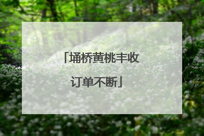 埇桥黄桃丰收 订单不断