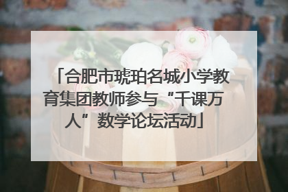 合肥市琥珀名城小学教育集团教师参与“千课万人”数学论坛活动