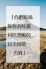 合肥机场旅客吞吐量同比增幅位居全国第一方阵