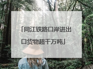 同江铁路口岸进出口货物超千万吨