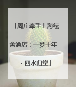 周庄牵手上海纭舍酒店：一梦千年・四水归堂