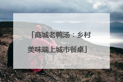 商城老鸭汤：乡村美味端上城市餐桌