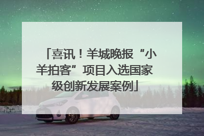 喜讯！羊城晚报“小羊拍客”项目入选国家级创新发展案例