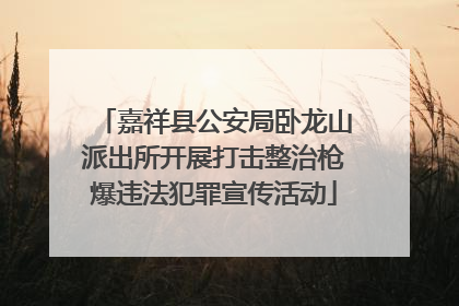 嘉祥县公安局卧龙山派出所开展打击整治枪爆违法犯罪宣传活动