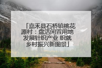 嘉禾县石桥镇桃花源村：盘活闲置用地发展针织产业 织就乡村振兴新图景
