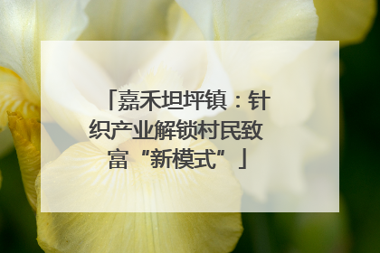 嘉禾坦坪镇：针织产业解锁村民致富“新模式”