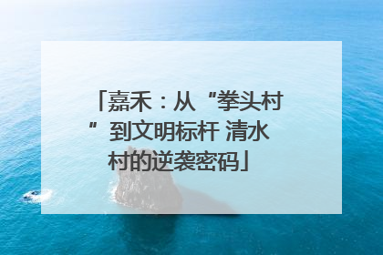 嘉禾：从“拳头村”到文明标杆 清水村的逆袭密码