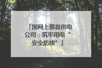 国网上蔡县供电公司：筑牢用电“安全防线”