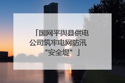 国网平舆县供电公司筑牢电网防汛“安全堤”