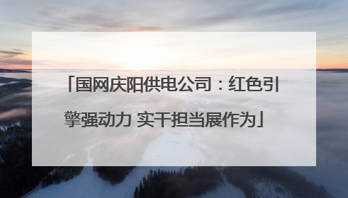 国网庆阳供电公司：红色引擎强动力 实干担当展作为