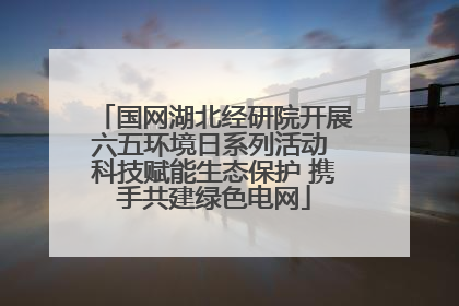 国网湖北经研院开展六五环境日系列活动 科技赋能生态保护 携手共建绿色电网