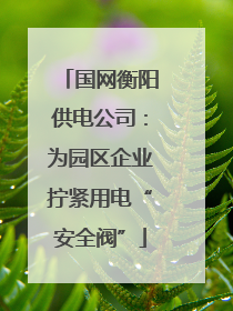 国网衡阳供电公司：为园区企业拧紧用电“安全阀”