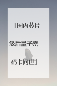 国内芯片级后量子密码卡问世