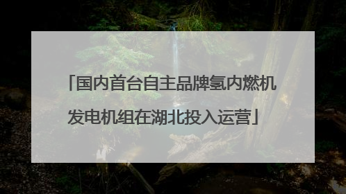 国内首台自主品牌氢内燃机发电机组在湖北投入运营