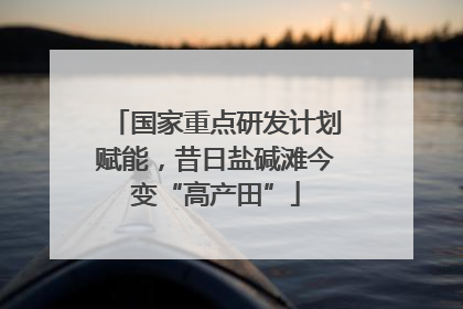 国家重点研发计划赋能，昔日盐碱滩今变“高产田”