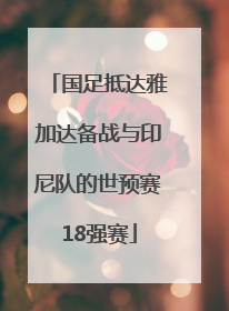 国足抵达雅加达备战与印尼队的世预赛18强赛