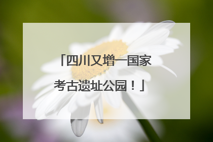 四川又增一国家考古遗址公园！
