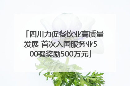 四川力促餐饮业高质量发展 首次入围服务业500强奖励500万元