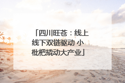 四川旺苍：线上线下双链驱动 小枇杷撬动大产业