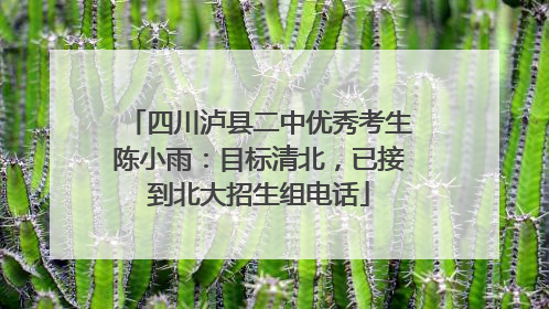 四川泸县二中优秀考生陈小雨：目标清北，已接到北大招生组电话