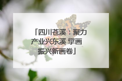 四川苍溪：聚力产业兴东溪 擘画振兴新画卷
