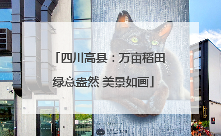 四川高县：万亩稻田绿意盎然 美景如画