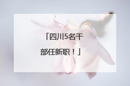 四川5名干部任新职！