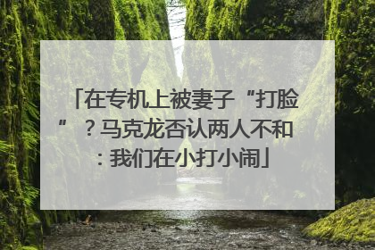在专机上被妻子“打脸”？马克龙否认两人不和：我们在小打小闹