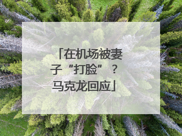 在机场被妻子“打脸”？马克龙回应