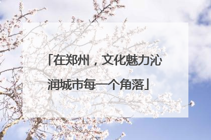 在郑州，文化魅力沁润城市每一个角落