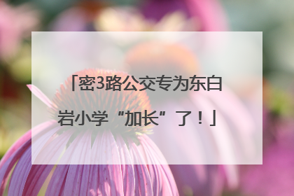 密3路公交专为东白岩小学“加长”了！