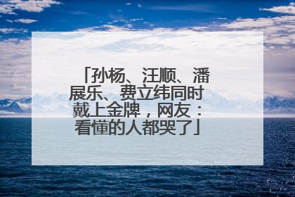 孙杨、汪顺、潘展乐、费立纬同时戴上金牌，网友：看懂的人都哭了
