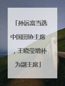 孙远富当选中国田协主席，王晓莹增补为副主席