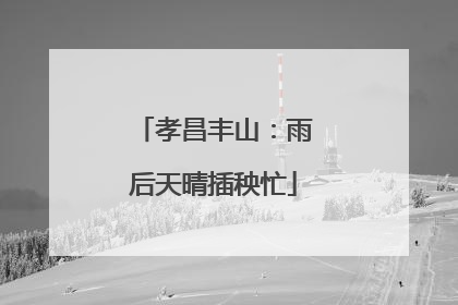 孝昌丰山：雨后天晴插秧忙