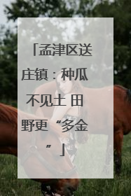 孟津区送庄镇：种瓜不见土 田野更“多金”