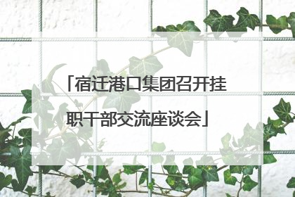 宿迁港口集团召开挂职干部交流座谈会