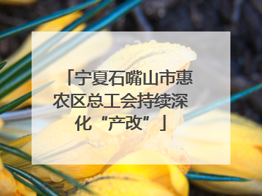 宁夏石嘴山市惠农区总工会持续深化“产改”