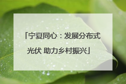 宁夏同心：发展分布式光伏 助力乡村振兴