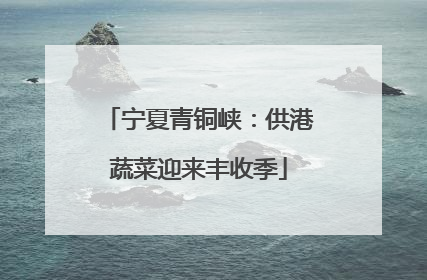 宁夏青铜峡：供港蔬菜迎来丰收季