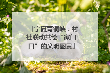 宁夏青铜峡：村社联动共绘“家门口”的文明图景