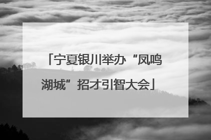 宁夏银川举办“凤鸣湖城”招才引智大会